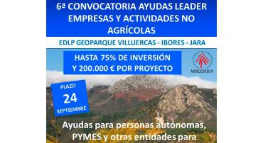 6ª Convocatoria de Ayudas para la Creación y Desarrollo de Empresas y Actividades No Agrícolas en Zonas Rurales.